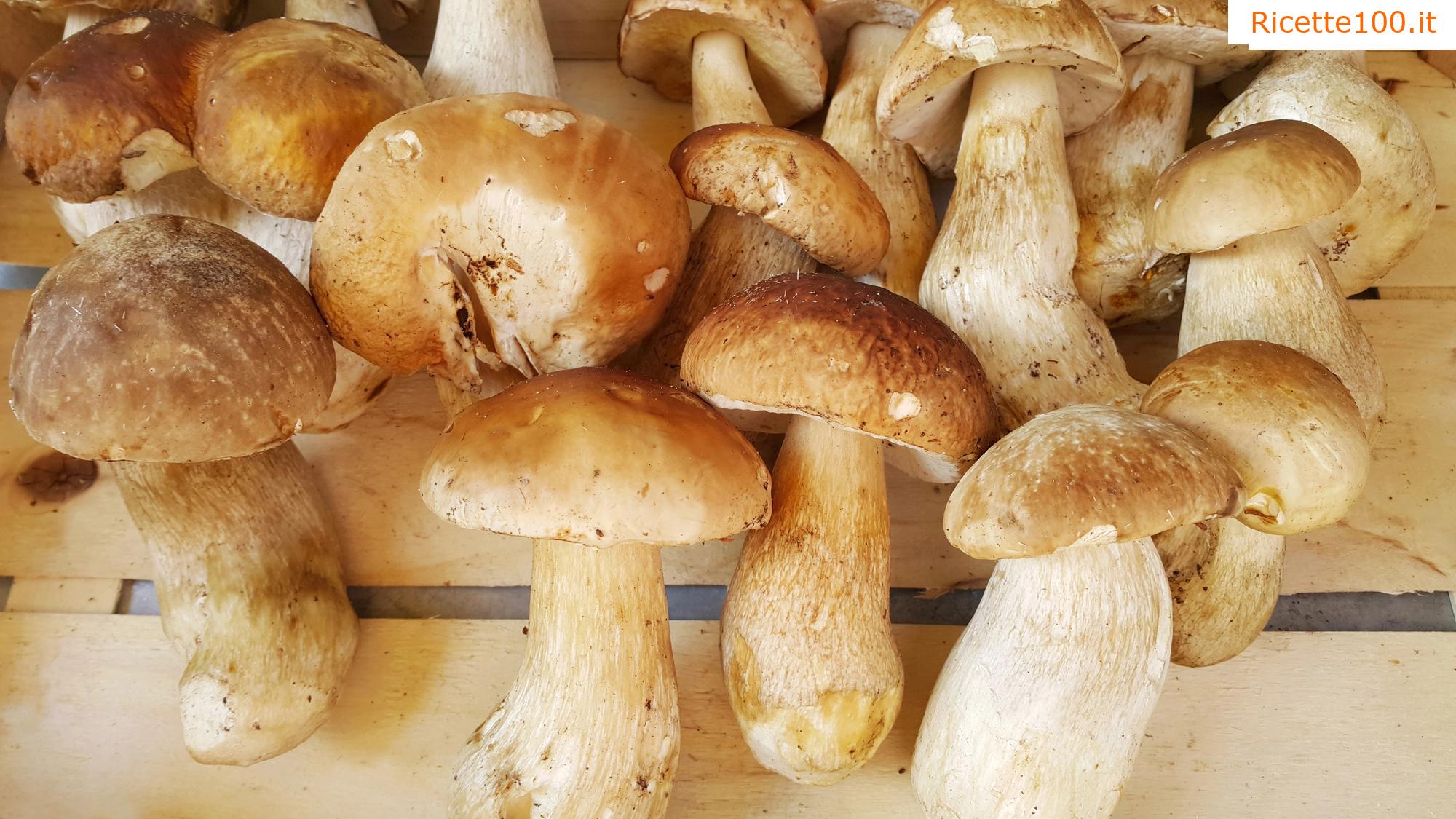 Mix di funghi per bruschette