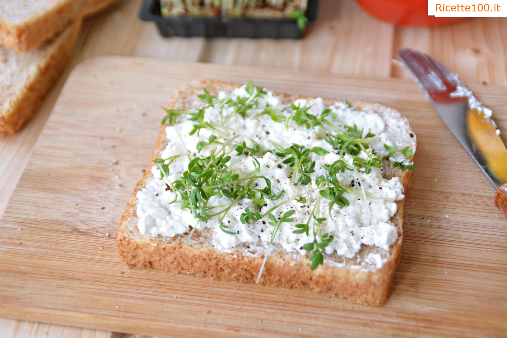 Spalmabile di ricotta con paprika e pomodoro