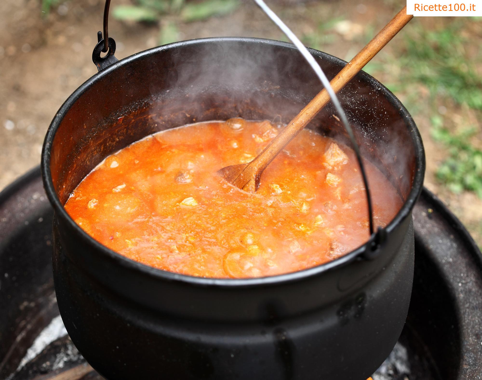 Zuppa di gulasch di carne macinata